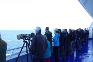 Whale Watching quer über die Nordsee