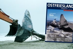 Wale in Ostfriesland
