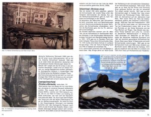 Wale und Robben in der Ostsee. Meer und Museum Band 23, S. 74