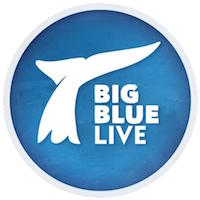 Logo BBC Big Blue Live