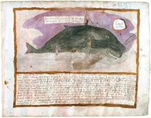 Layoutbeispiel: Seite aus Egmond & Mason (Hrgg.) (2003) The whale book. Whales and other marine animals as described by Adriaen Coenen in 1585