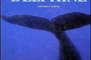 Anthony R. Martin (1991): Das große Bestimmungsbuch der Wale und Delphine.