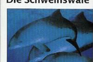 Gerhard Schulze (1996):  Die Schweinswale.