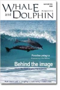 Whale and Dolphin Magazine herausgegeben von Rachel Saward (2004)