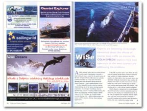 Werbung im Whale and Dolphin Magazine (Heft 2, S. 24-25): Vor allem von Anbietern von Whale Watching Anbietern und gar nicht mal uninteressant.