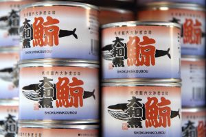 Artenschutzkonferenz: Ohrfeige für Japan, Walfleischhandel abgelehnt